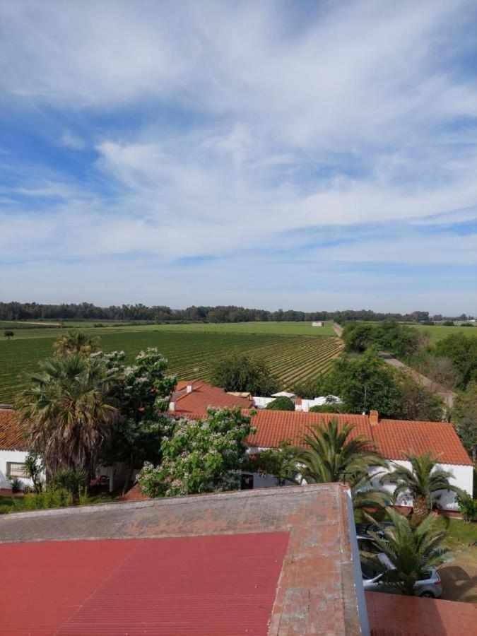 Hotel Rural Villa Torreaguila 巴达霍斯 外观 照片