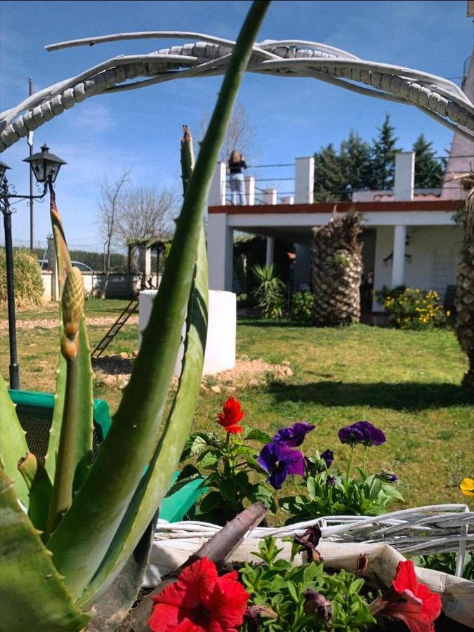 Hotel Rural Villa Torreaguila 巴达霍斯 外观 照片